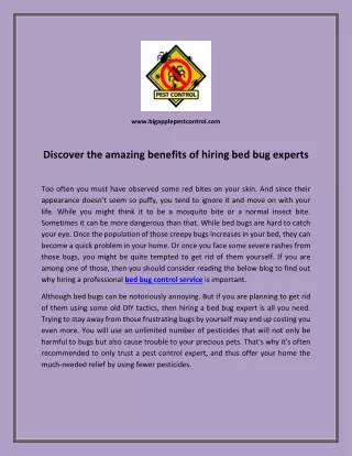 Discover the amazing benefits of hiring bed bug experts