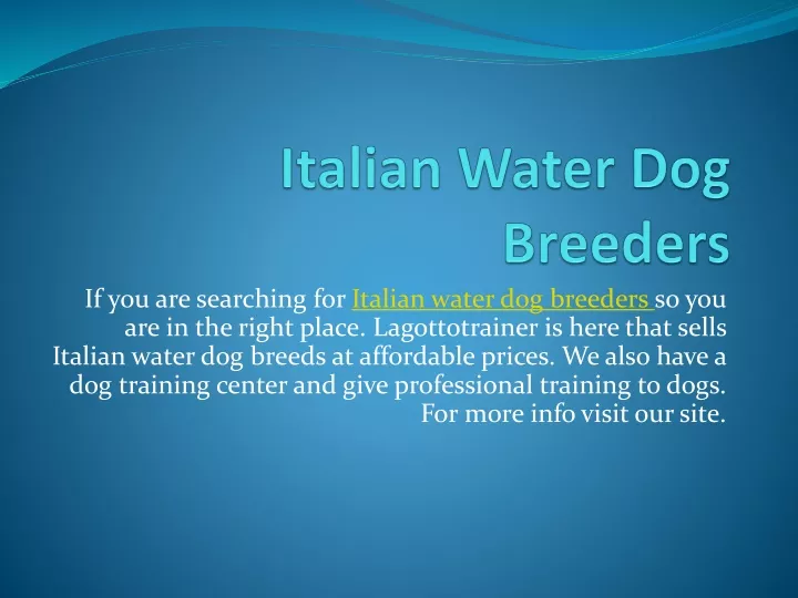 italian water dog breeders