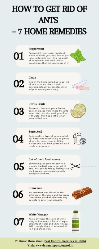 Infographic   HOW TO GET RID OF ANTS – 7 HOME REMEDIES infographic