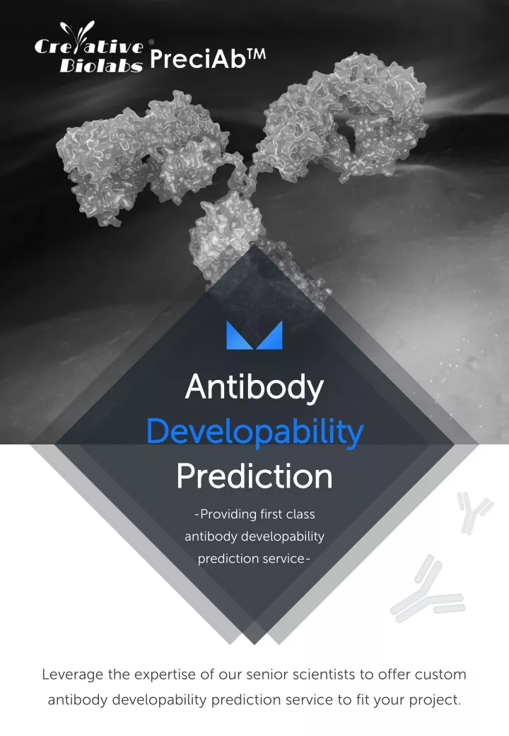 antibody antibody developability developability