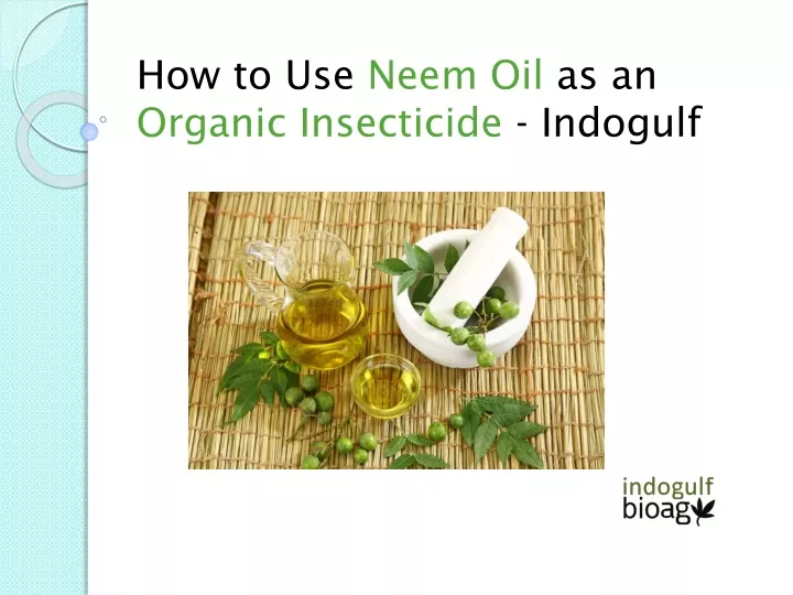 how to use neem oil as an organic insecticide