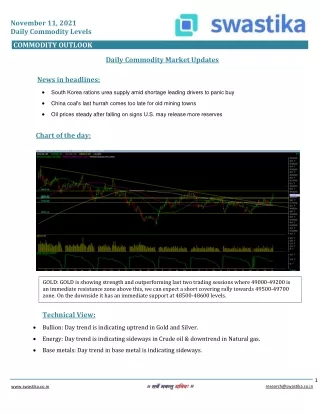 november 11 2021 daily commodity levels