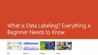 What is Data Labeling