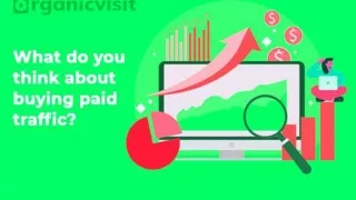 What Do You Think About Buying Paid Traffic Sources?