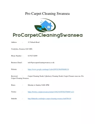 pro carpet cleaning swansea