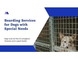 Boarding Services for Dogs with Special Needs