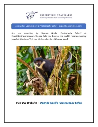 Looking For Uganda Gorilla Photography Safari | Expeditiontravellers.com