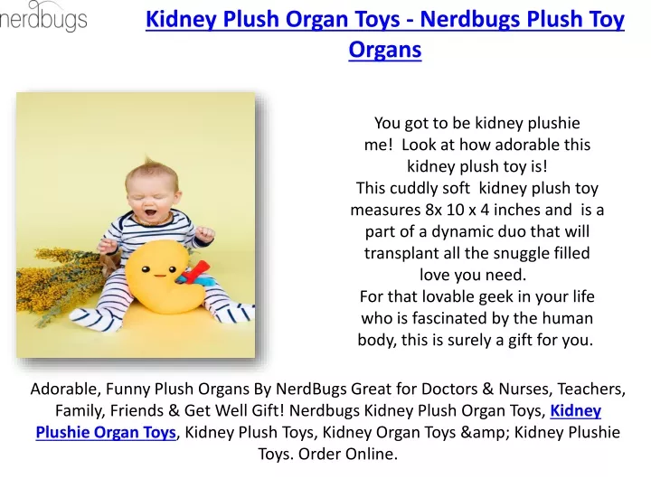 kidney plush organ toys nerdbugs plush toy organs