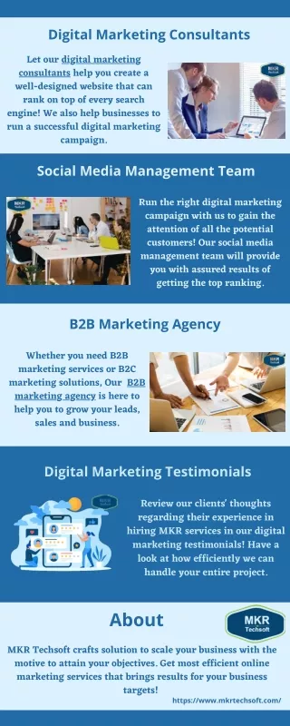 digital marketing consultants