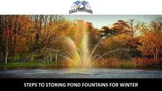 steps to storing pond fountains for winter