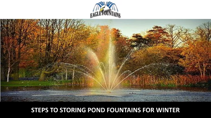 steps to storing pond fountains for winter