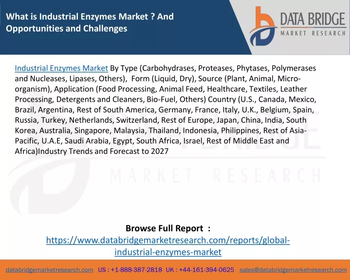 what is industrial enzymes market