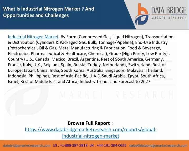 what is industrial nitrogen market