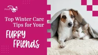 Top Winter Care Tips for Your Furry Friends