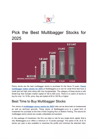 pick the best multibagger stocks for 2025