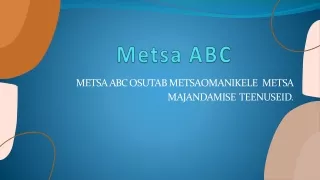 metsa abc