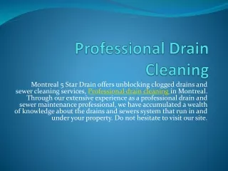 Professional Drain Cleaning