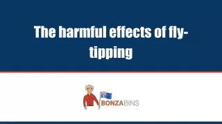 Why Fly-Tipping is a Bad Idea -  Bonza Bins