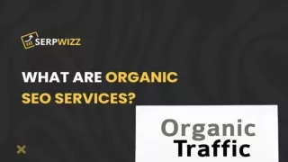 What Are Organic SEO Services?