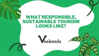 What Responsible, Sustainable Tourism Looks Like? | Promote Eco-Friendly Travel