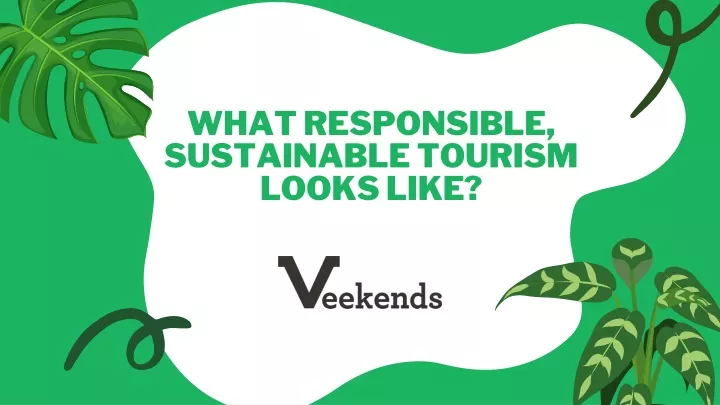what responsible sustainable tourism looks like