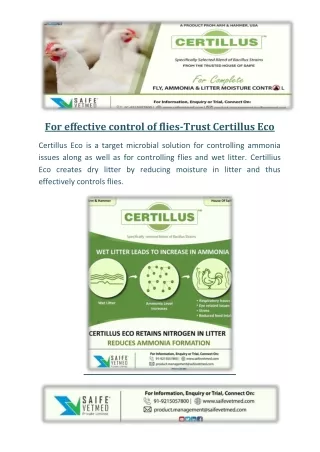 for effective control of flies trust certillus eco