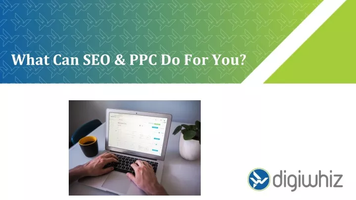 what can seo ppc do for you