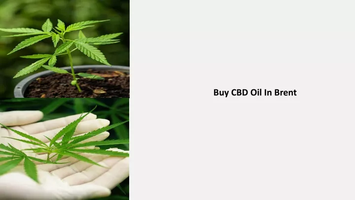 buy cbd oil in brent
