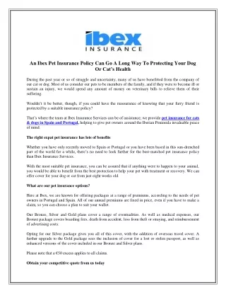 An Ibex Pet Insurance Policy Can Go A Long Way To Protecting Your Dog Or Cat’s Health