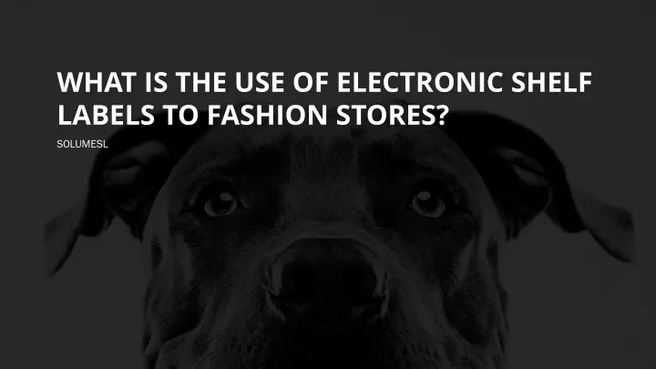 what is the use of electronic shelf labels to fashion stores