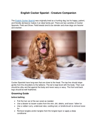 english cocker spaniel creature companion