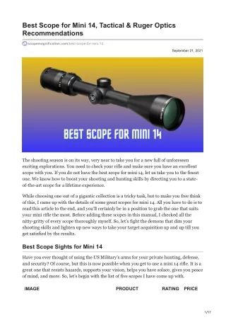 Best Scope for Mini 14, Tactical & Ruger Optics Recommendations
