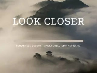 Look Closer