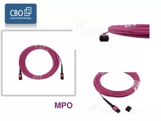 Data centre applications of MPO cabling