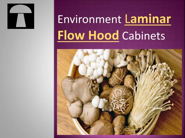 environment l aminar flow hood cabinets