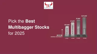 pick the best multibagger stocks for 2025