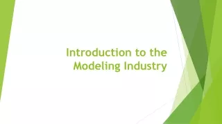 introduction to the modeling industry
