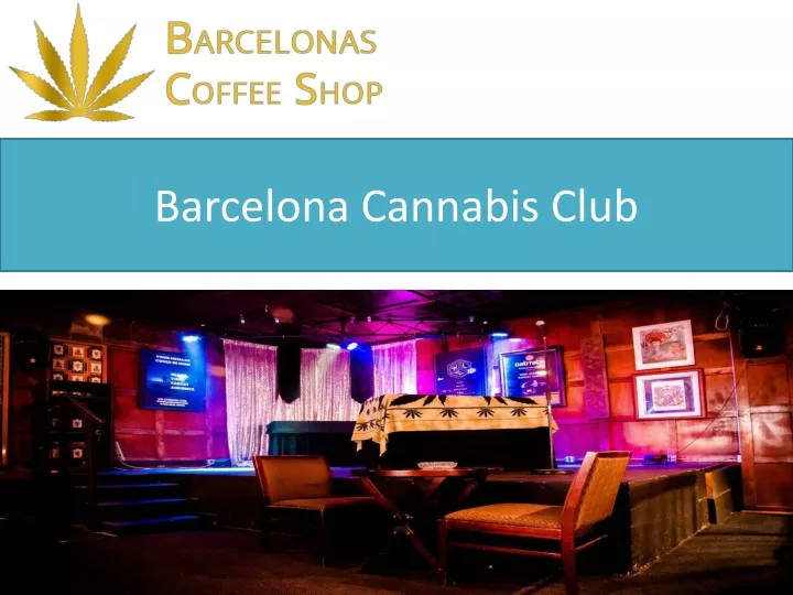 barcelona cannabis club