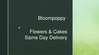 Bloom Florist Auckland – Contact now!