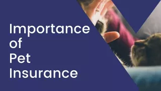 importance of pet insurance