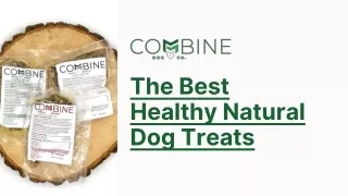 The Best Healthy Natural Dog Treats