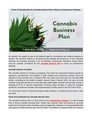 Points of Consideration for Cannabis Business Plan to Boost an Entrepreneur Pathway