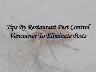 Tips By Restaurant Pest Control Vancouver To Eliminate Pests