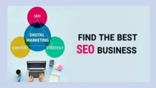 Find The Best SEO Business