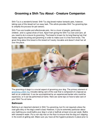 grooming a shih tzu about creature companion