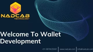 Welcome To Wallet Development