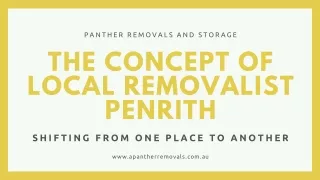 panther removals and storage