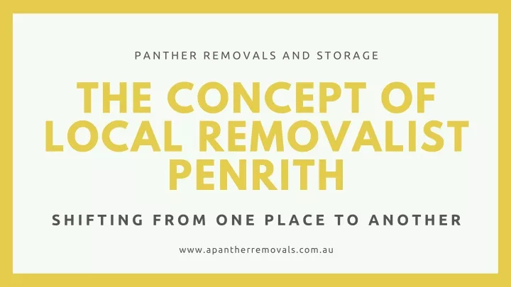 panther removals and storage