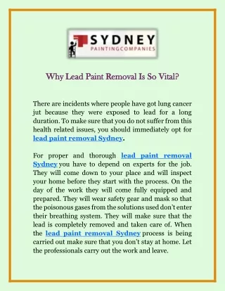 Why Lead Paint Removal Is So Vital?