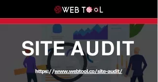 site audit